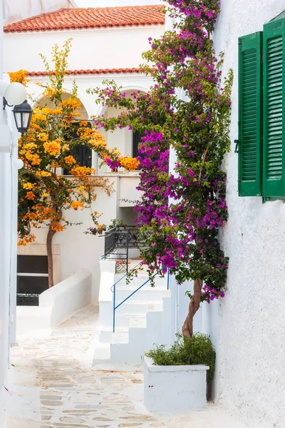 Uma Casa Com Paredes Exteriores Brancas Plantas Sala Decorativas Atenas — Fotografia de Stock