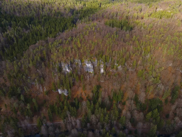 Ein Blick Aus Der Vogelperspektive Auf Einen Dichten Wald Herbst — Stockfoto