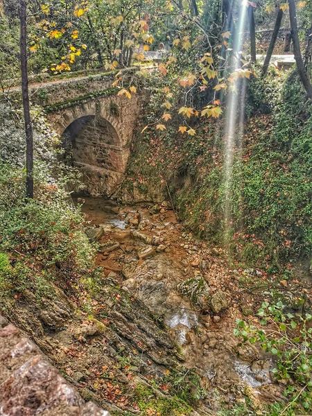 Bel Colpo Foresta Autunnale — Foto Stock