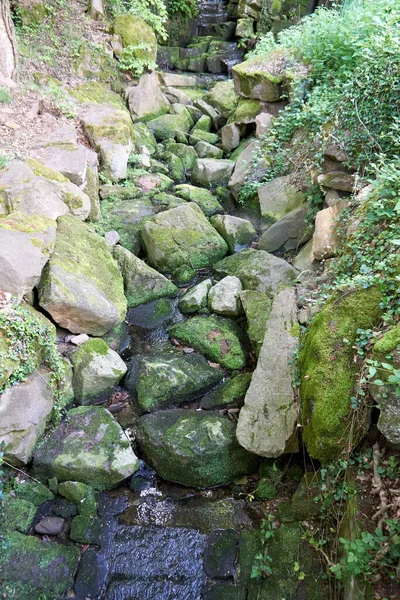 Tiro Pedras Musgosas Uma Floresta Verde — Fotografia de Stock