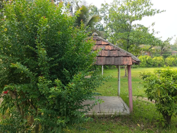 Focus Sélectif Une Alcôve Dans Jardin — Photo