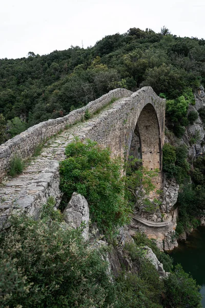 Μια Όμορφη Θέα Μιας Αψίδας Της Αρχαίας Γέφυρας Που Περιβάλλεται — Φωτογραφία Αρχείου