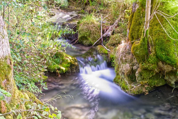 Ένα Κοντινό Πλάνο Ενός Ποταμού Που Ρέει Στο Bad Urach — Φωτογραφία Αρχείου