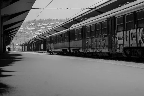 Sarajevo Bósnia Herzegovina Maio 2019 Ferrovia Primavera Estação Trem Primavera — Fotografia de Stock