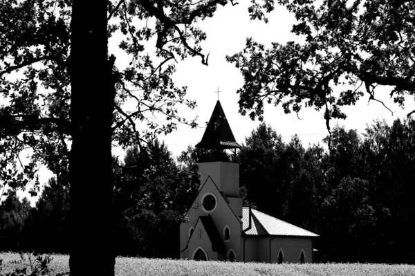 들판에서 교회와 나무를 — 스톡 사진