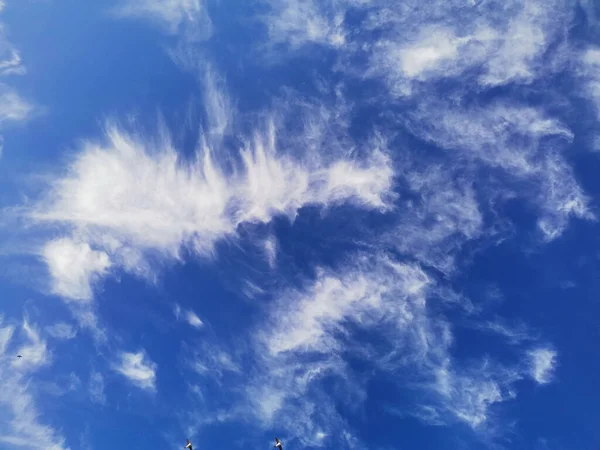 Ein Schöner Blick Den Himmel Mit Weißen Wolken — Stockfoto