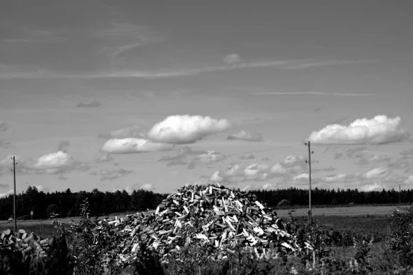 Een Grijsschaal Shot Van Gestapeld Brandhout Een Landelijk Veld — Stockfoto