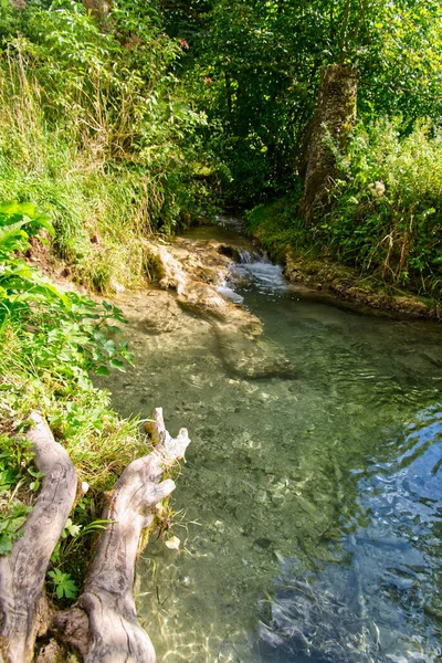 Een Verticaal Schot Van Een Stromende Rivier Bad Urach Duitsland — Stockfoto