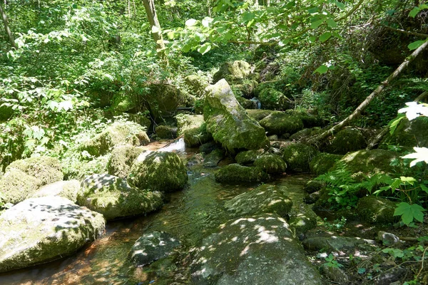 Una Bella Foto Fiume Che Scorre Nella Foresta Una Giornata — Foto Stock