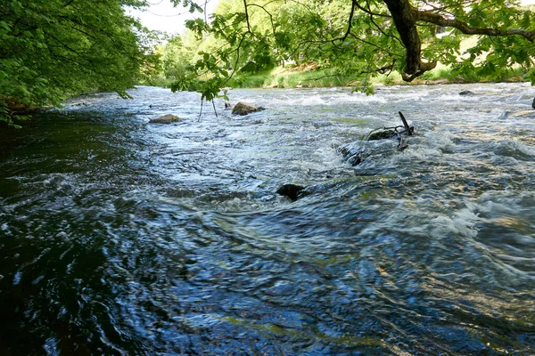 Tiro Río Bosque —  Fotos de Stock