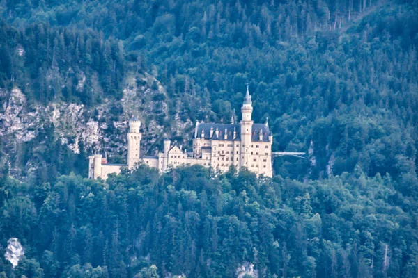 Uma Bela Foto Castelo Neuschwanstein Cercado Por Vegetação Alemanha — Fotografia de Stock