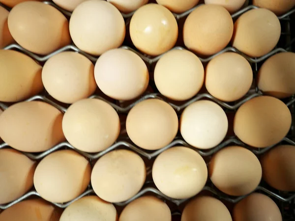 Foto Producción Huevos Pollo Fábricas Vista Superior — Foto de Stock