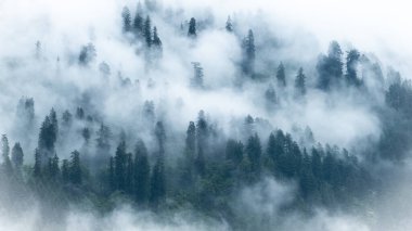 A view of the mountains in Manali Himachal Pradesh in India covered by dense fog clipart