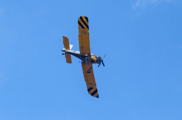 Pzl 24F Cielo Azul Fondo Vista Abajo —  Fotos de Stock