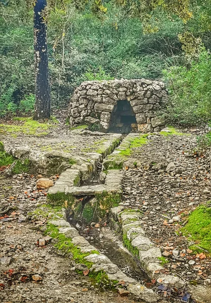 Bâtiment Rustique Pierre Dans Tramontana Majorque Espagne Forêt Avec Des — Photo