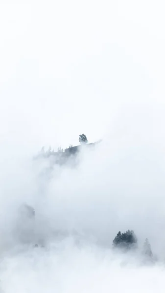 Uma Vista Vertical Das Montanhas Manali Himachal Pradesh Índia Coberta — Fotografia de Stock