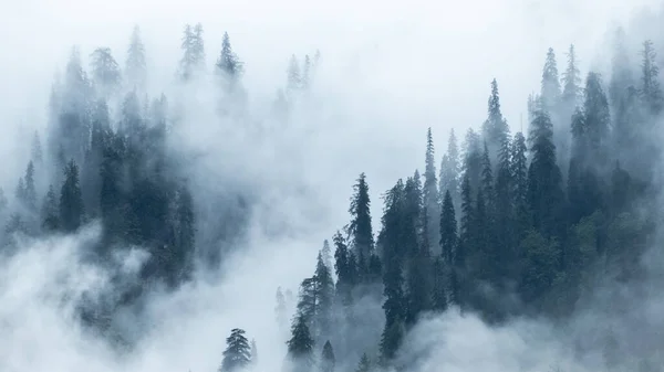 View Mountains Manali Himachal Pradesh India Covered Dense Fog — Stock Photo, Image