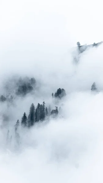 インドのマナリ ヒマハル プラデーシュ州の山の垂直方向の景色は濃霧に覆われている — ストック写真