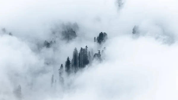 濃霧に覆われたインドのマナリ ヒマカル プラデーシュ州の山々の眺め — ストック写真