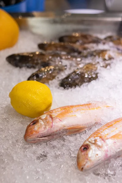 Eine Nahaufnahme Von Frischem Fisch Auf Eis — Stockfoto