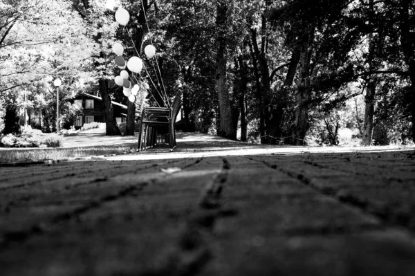 Uma Foto Tons Cinza Monte Balões Parque Dia Ensolarado — Fotografia de Stock