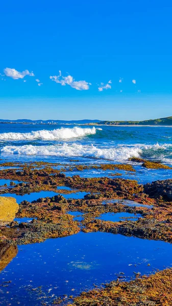 Plano Vertical Playa Bajo Cielo Azul Claro — Foto de Stock