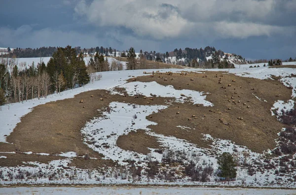Vista Panorámica Ladera Montaña Cubierta Nieve — Foto de Stock