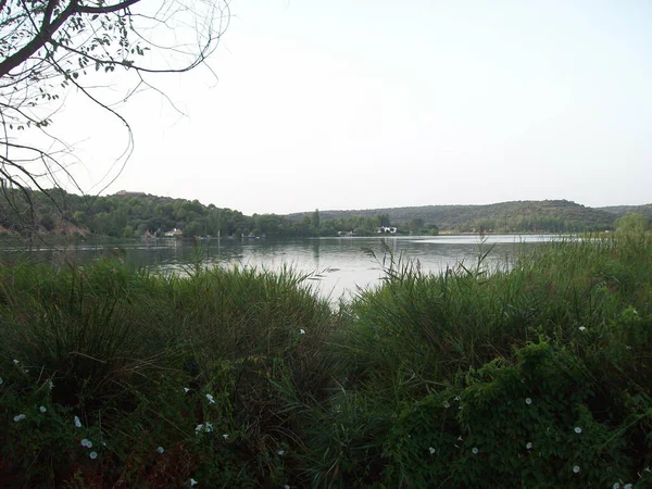 Uma Bela Vista Lago Cercado Por Verdes Árvores — Fotografia de Stock