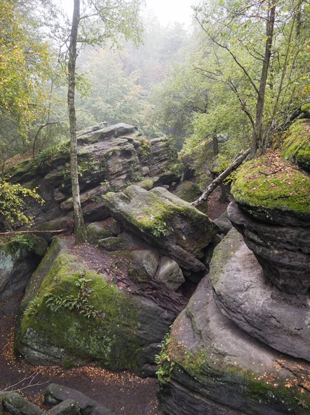バスティービエットハイキングエリア ローメン ドイツの緑豊かな岩の形成の美しい景色 — ストック写真