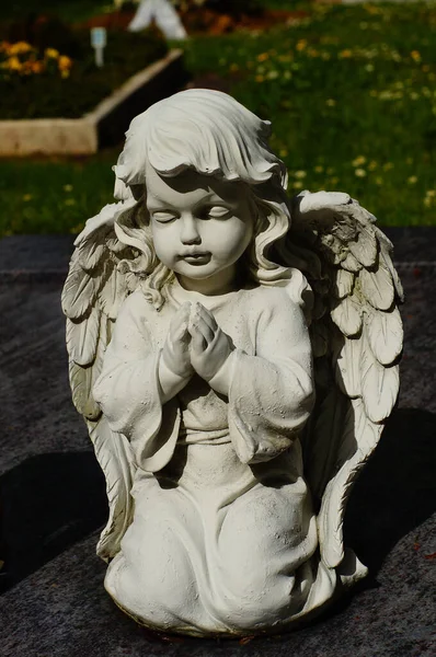 Скульптура Молящегося Ангела Могиле Франкфурте Солнце Штукатурка Серийного Производства — стоковое фото