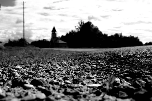 Grayscale Shot Landscape Random Trees Small Tower Background — Stock Photo, Image