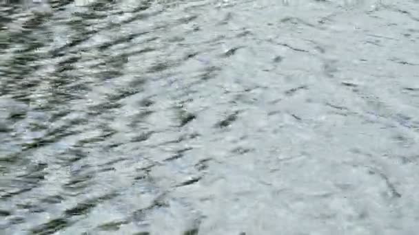 Zicht Zonneschijn Reflecterend Rivier Golvend Wateroppervlak — Stockvideo
