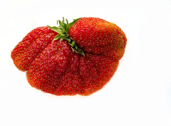 红色草莓一种不寻常形状的红草莓 在白色的背景上被隔离 — 图库照片