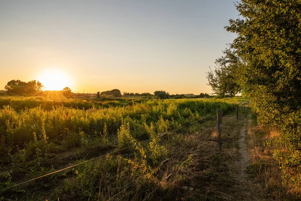 Krásný Výhled Východ Slunce Klidnou Zelenou Krajinu — Stock fotografie