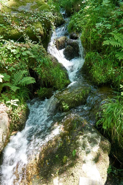 Krásná Řeka Lese Tekoucí Skalách Obklopených Hustou Vegetací — Stock fotografie