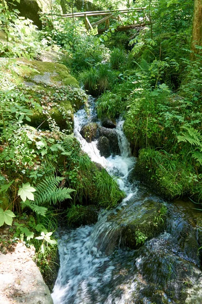 Bellissimo Fiume Nella Foresta Che Scorre Rocce Circondate Una Fitta — Foto Stock