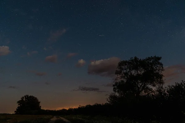 Krásná Scenérie Krajiny Mnoha Stromy Při Západu Slunce — Stock fotografie