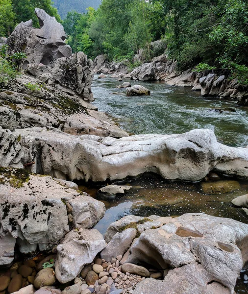 Sebuah Gambar Vertikal Dari Sebuah Sungai Hutan — Stok Foto
