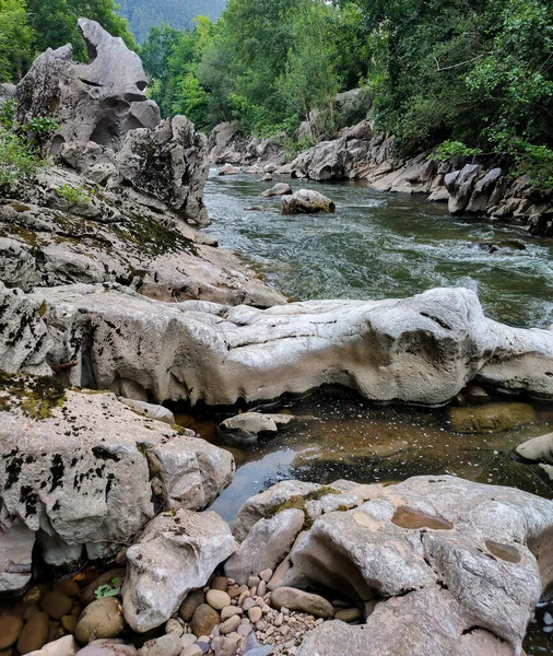 Plan Vertical Une Rivière Dans Les Bois — Photo