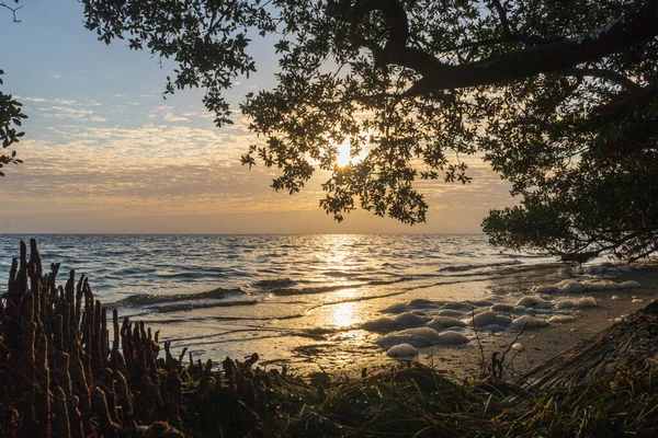 Der Wunderschöne Sonnenaufgang Strand Feuerland Florida Usa — Stockfoto