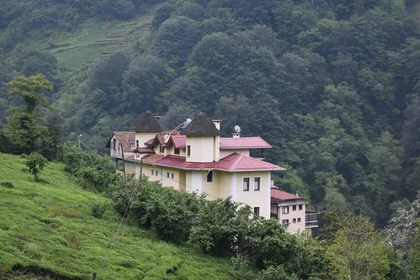 Een Close Van Een Modern Resortgebouw Midden Natuur Bossen — Stockfoto