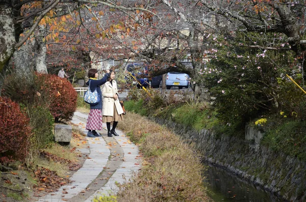 Kyoto Japan Dec 2019 Kyoto Japan Nov 2019 Turister Observerar — Stockfoto