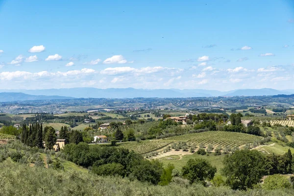 Красивый Снимок Зеленых Холмов Полей Тоскане — стоковое фото