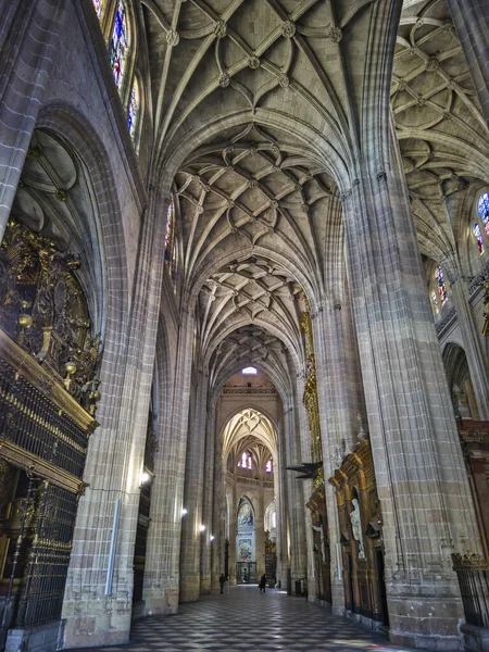 Een Verticale Opname Van Laat Gotische Architectuur Segovia Kathedraal Interieur — Stockfoto