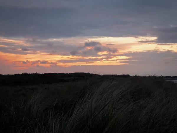 Ett Fantastiskt Landskap Torrt Gräs Arkiverat Orange Molnig Solnedgång Himmel — Stockfoto