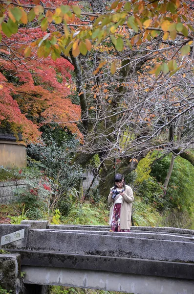 Kyoto Japón Dic 2019 Kyoto Japón Nov 2019 Gente Disfruta — Foto de Stock