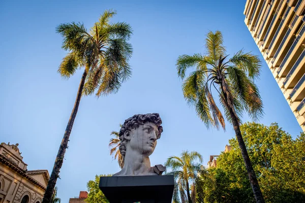 Rosario Argentina Oct 2020 Low Angle Shot Bust David Palm — Stock Photo, Image