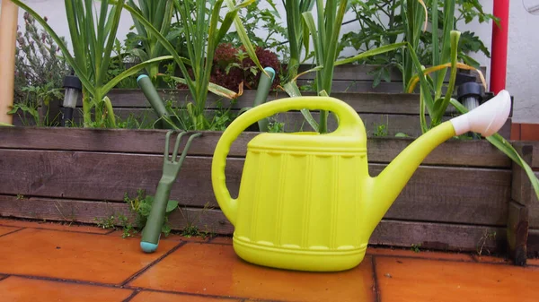 Nahaufnahme Einer Kleinen Plastikgießkanne Garten — Stockfoto