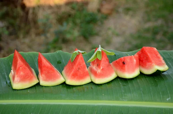 Closeup Shot Red Ripe Watermelons Mint Leaves Blurred Background — Stock Photo, Image