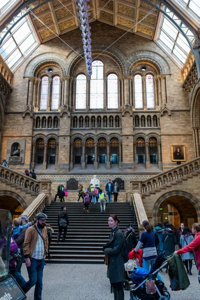 London Zjednoczone Królestwo Lut 2018 Hala Muzeum Historii Naturalnej Londynie — Zdjęcie stockowe